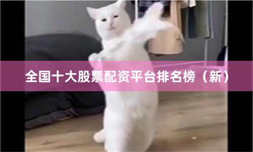 全国十大股票配资平台排名榜（新）