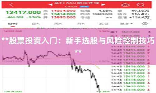 **股票投资入门：新手选股与风险控制技巧**
